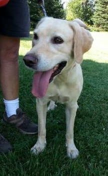 Trinity-ADOPTED 09.14.13