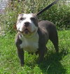 Prudence-ADOPTED 09.28.13