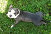 Prudence-ADOPTED 09.28.13
