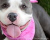 Prudence-ADOPTED 09.28.13