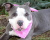 Prudence-ADOPTED 09.28.13