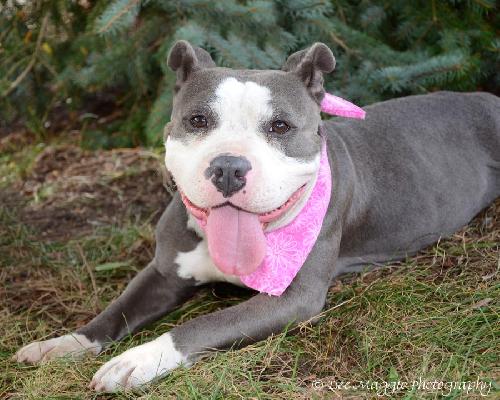 Prudence-ADOPTED 09.28.13