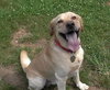 Keystone-ADOPTED 11.02.13