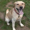 Keystone-ADOPTED 11.02.13