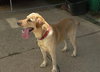 Keystone-ADOPTED 11.02.13