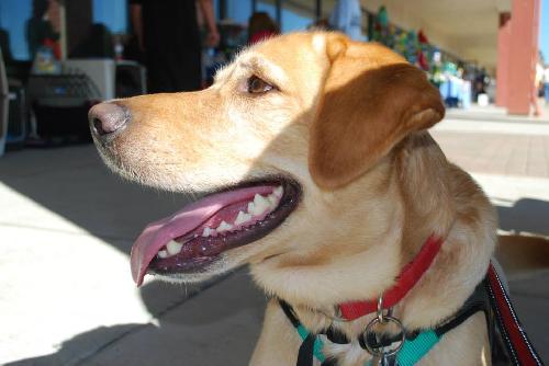 Keystone-ADOPTED 11.02.13