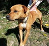 Irina-ADOPTED 09.21.13