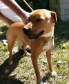 Irina-ADOPTED 09.21.13