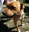 Irina-ADOPTED 09.21.13