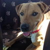Irina-ADOPTED 09.21.13