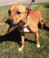 Irina-ADOPTED 09.21.13