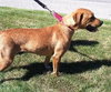 Irina-ADOPTED 09.21.13