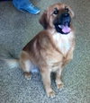Prince Caspian-ADOPTED 09.21.13