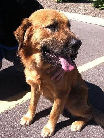 Prince Caspian-ADOPTED 09.21.13