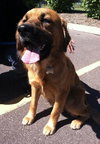 Prince Caspian-ADOPTED 09.21.13