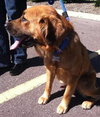 Prince Caspian-ADOPTED 09.21.13