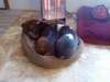 Pop Rocks - ADOPTED 02.23.14