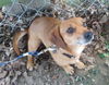 Truly-ADOPTED 12.28.13