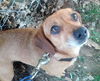 Truly-ADOPTED 12.28.13