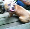 Theo-ADOPTED 09.24.13