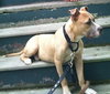 Theo-ADOPTED 09.24.13