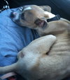 Theo-ADOPTED 09.24.13