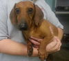 Zeus-ADOPTED 11.22.13