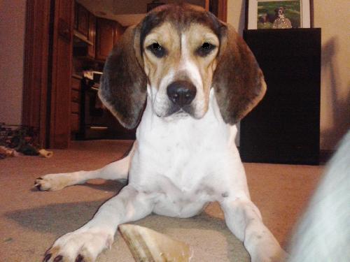 Summer-ADOPTED 10.29.13