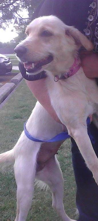 Marilyn Monroe-ADOPTED 10.19.13