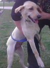 Marilyn Monroe-ADOPTED 10.19.13