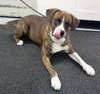 Booker-ADOPTED 02.15.14