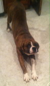 Booker-ADOPTED 02.15.14