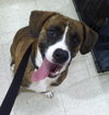 Booker-ADOPTED 02.15.14
