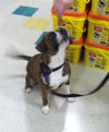 Booker-ADOPTED 02.15.14