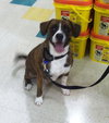 Booker-ADOPTED 02.15.14