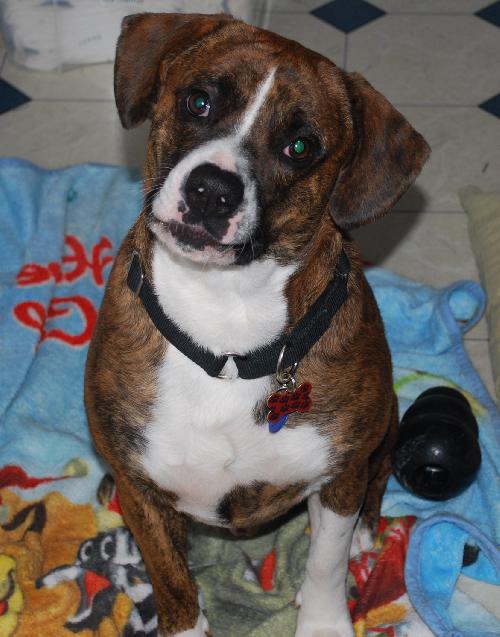 Booker-ADOPTED 02.15.14
