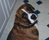 Booker-ADOPTED 02.15.14