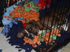 Booker-ADOPTED 02.15.14