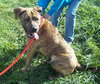 Romeo - ADOPTED 01.19.14