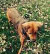 Sybil-ADOPTED 02.13.14