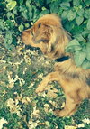 Sybil-ADOPTED 02.13.14