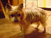 Mortimer-ADOPTED 12.08.13