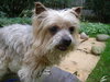 Mortimer-ADOPTED 12.08.13