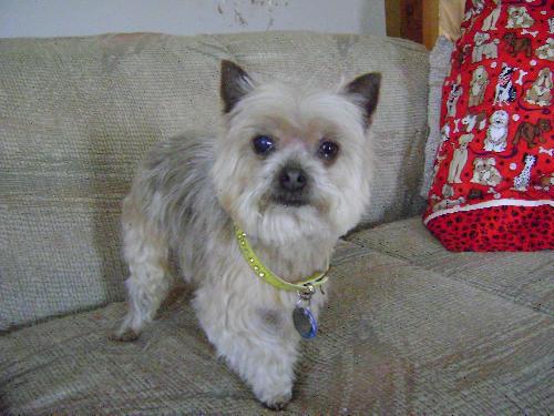 Mortimer-ADOPTED 12.08.13