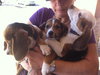 Bj Litter Twix - ADOPTED 11.07.13