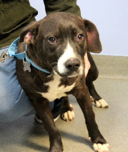 Miller-ADOPTED 11.15.13