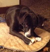 Miller-ADOPTED 11.15.13