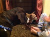 Miller-ADOPTED 11.15.13