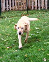 Seeker - ADOPTED 01.30.14