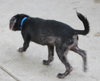 Nicole - ADOPTED 12.08.13